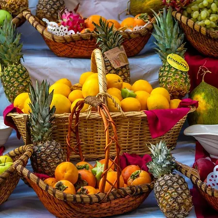 Bera Alanya קונאקלי